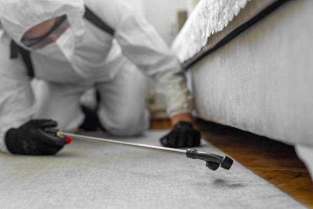 Professional Pest Control technician working in Shinglehouse, PA